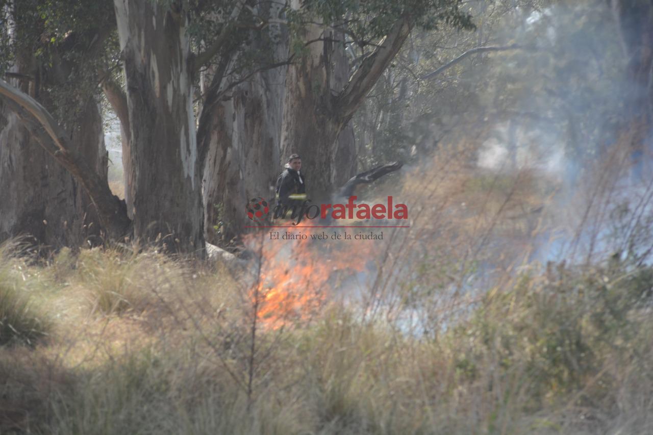 WhatsApp Image 2020-08-05 at 14.52.28