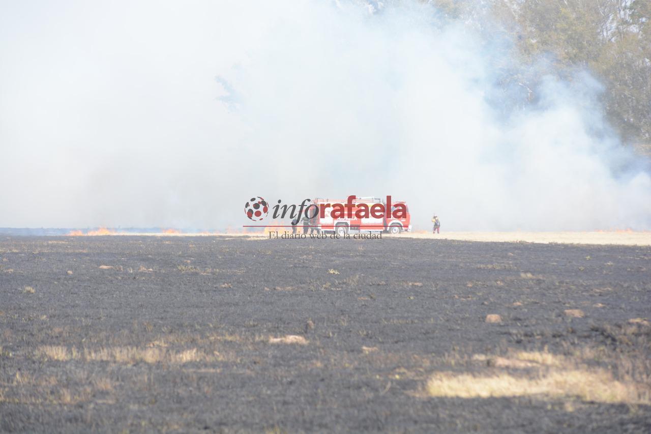 WhatsApp Image 2020-08-05 at 14.52.31 (1)