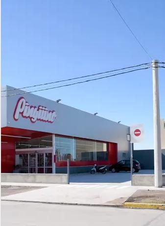 pinguino -barrio mora