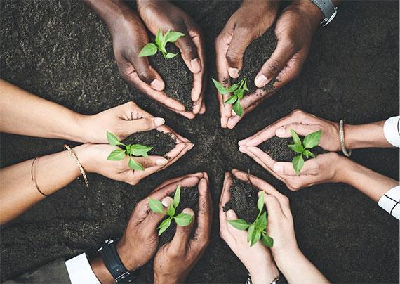 WhatsApp Image 2021-08-31 at 16.36.56