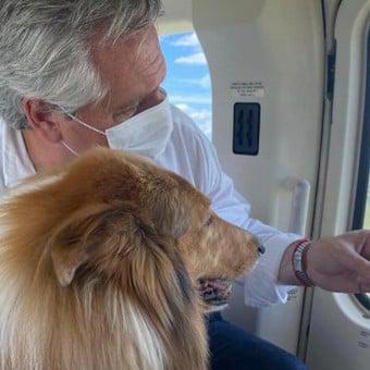 alberto-fernandez-con-su-perro___KSxTsMBUJ_340x340__1