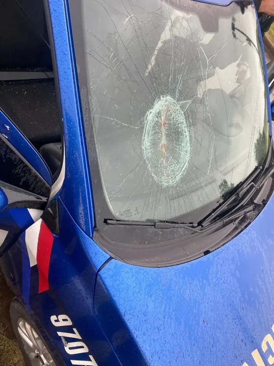 WhatsApp Image 2025-04-06 at 20.20.30 (2)