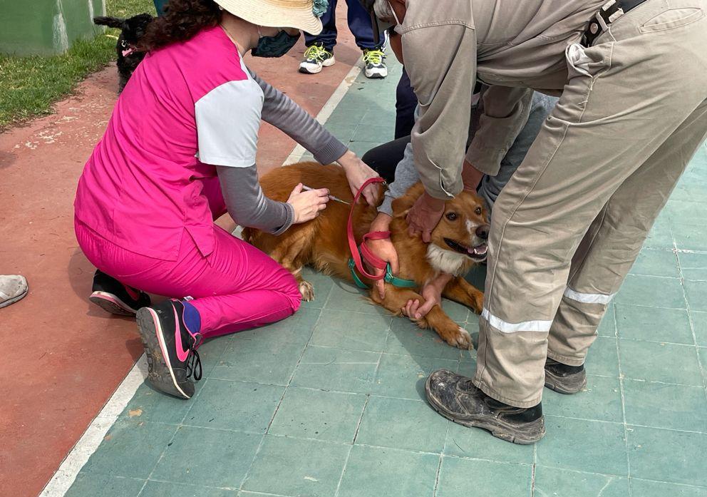 WhatsApp Image 2021-09-06 at 16.03.14