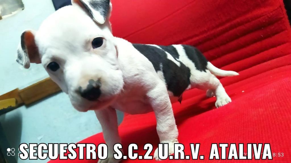 WhatsApp Image 2021-07-13 at 09.33.48