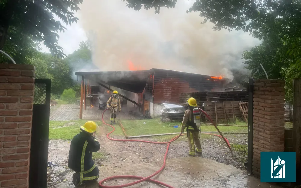 WhatsApp Image 2026-03-10 at 18.42.23