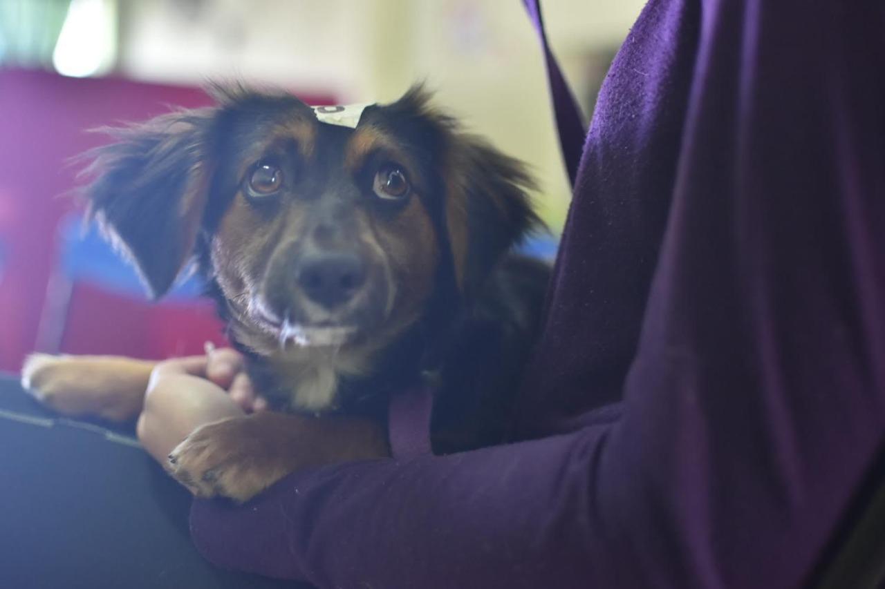 WhatsApp Image 2021-10-11 at 12.28.06