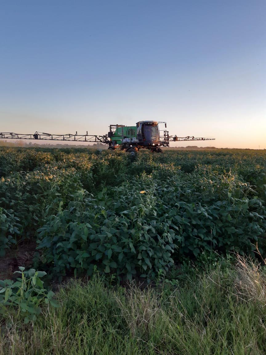 campo fitosanitarios