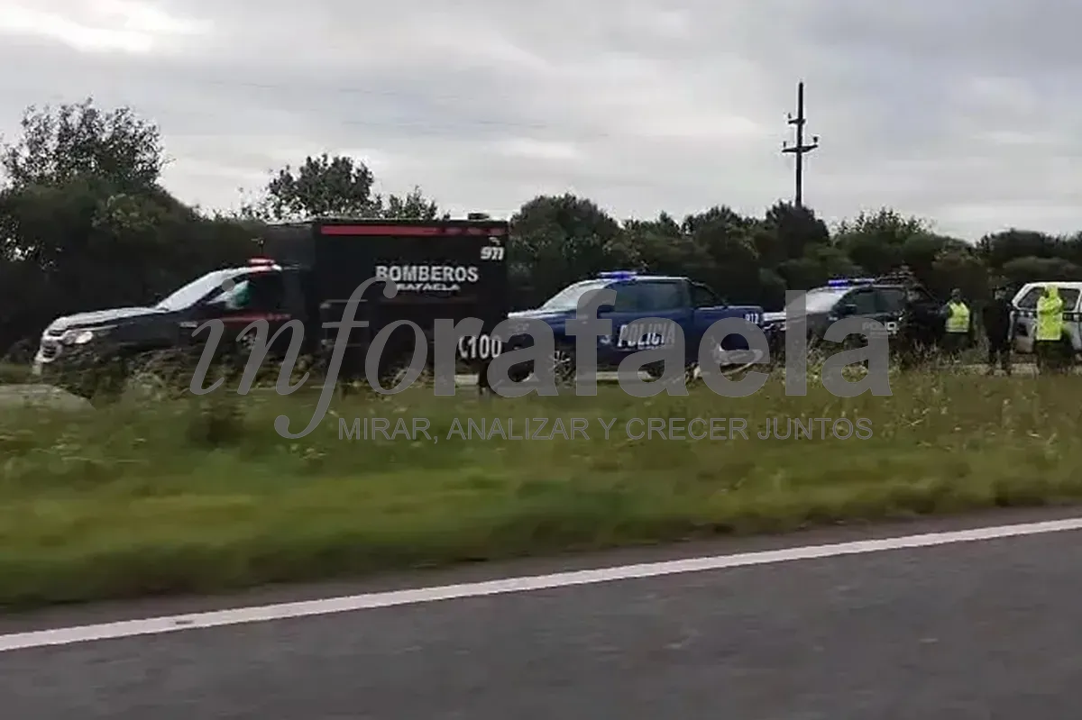 WhatsApp Image 2024-12-08 at 10.46.16