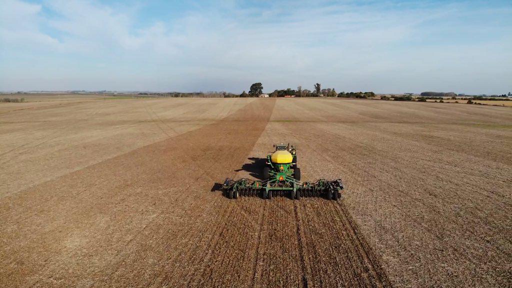 El Banco Nación prestará $ 10.000 millones para la siembra de trigo, cebada y legumbres