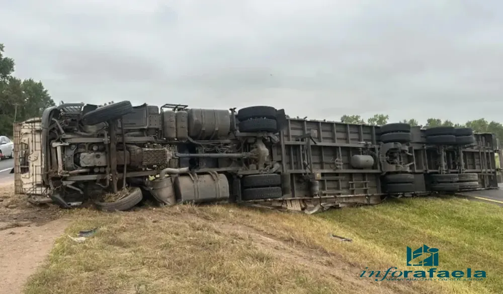 WhatsApp Image 2026-02-16 at 14.17.45