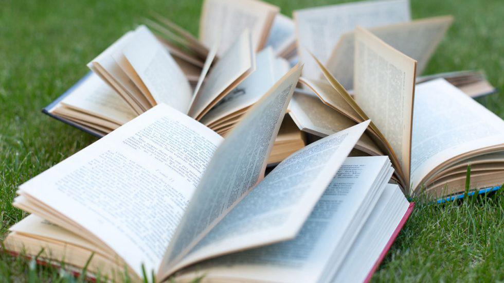 WhatsApp Image 2021-05-03 at 15.41.31