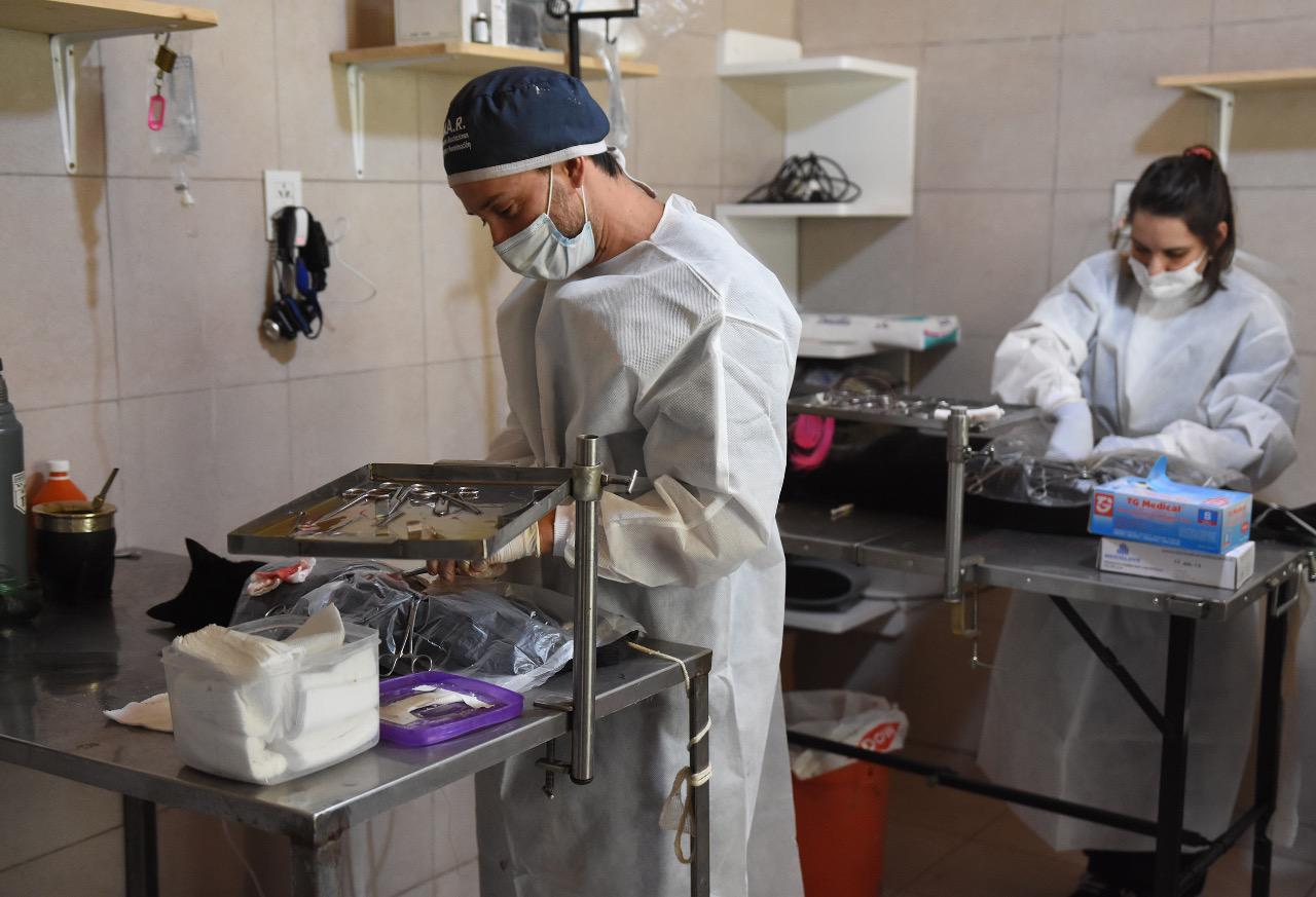 WhatsApp Image 2021-06-04 at 16.39.53