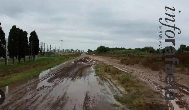 WhatsApp Image 2026-04-06 at 15.20.23