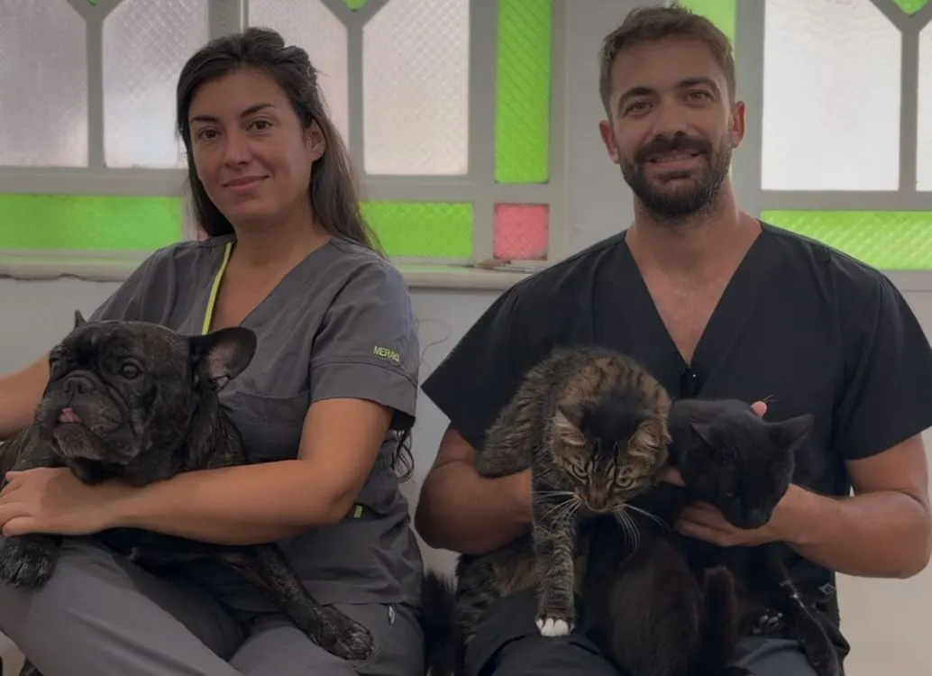 WhatsApp Image 2025-12-31 at 10.14.04