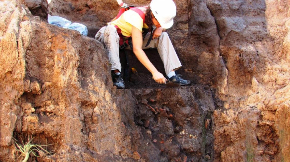 2021-06-01NID_271141O_2