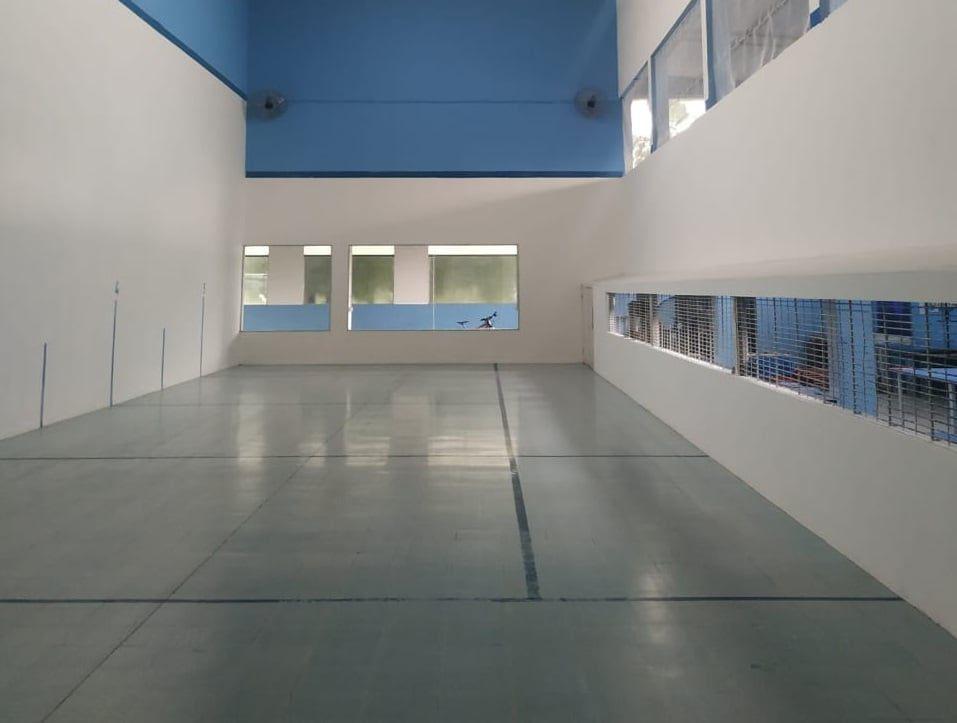 pelota paleta atletico