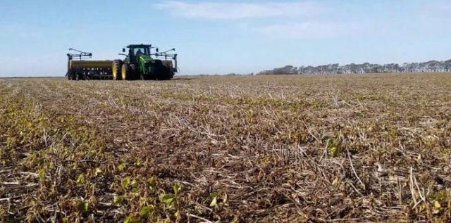 La Niña se disipa y mejoran las perspectivas para los cultivos de invierno