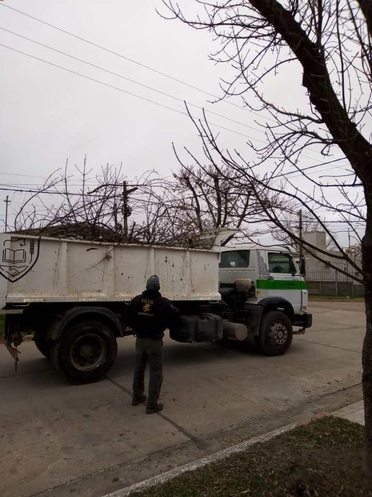 Ramona - Mantención de espacios verdes - 