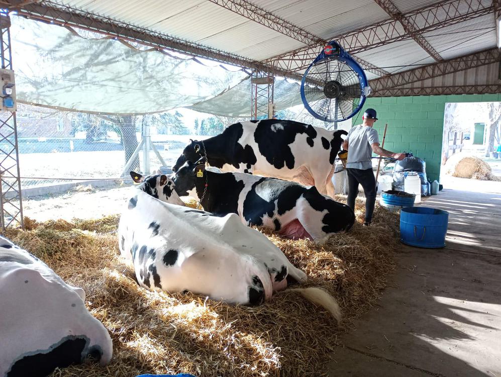 WhatsApp Image 2024-09-06 at 18.11.42 (1)