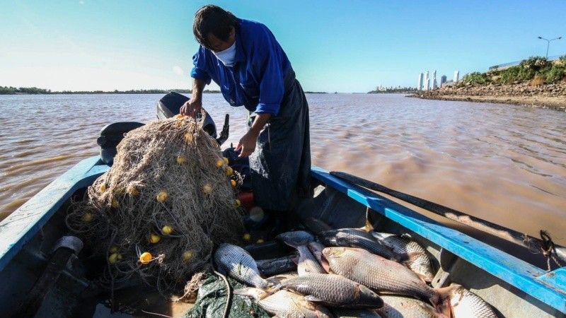 pesca