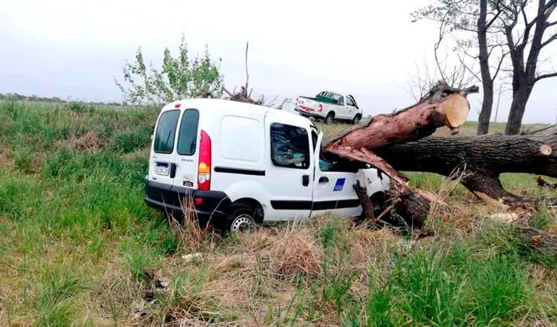 WhatsApp Image 2021-06-03 at 10.48.41