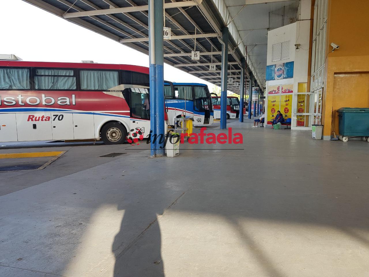 colectivos-micros-terminal