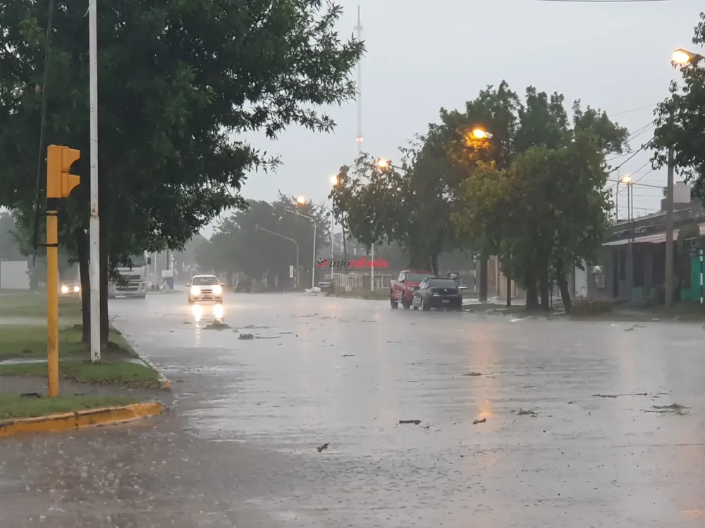 WhatsApp Image 2024-11-25 at 07.15.04