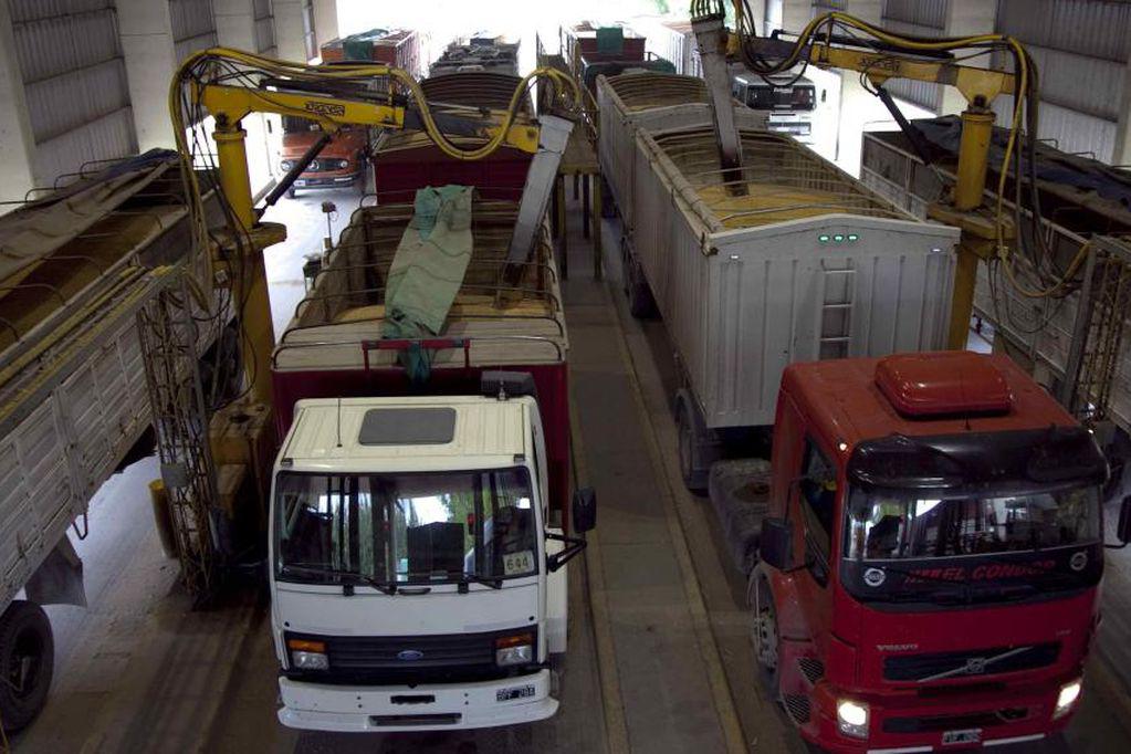 Largó la cosecha, y el camión corre detrás de la inflación - Camioneros - Carga de granos - Transporte  de granos - 
