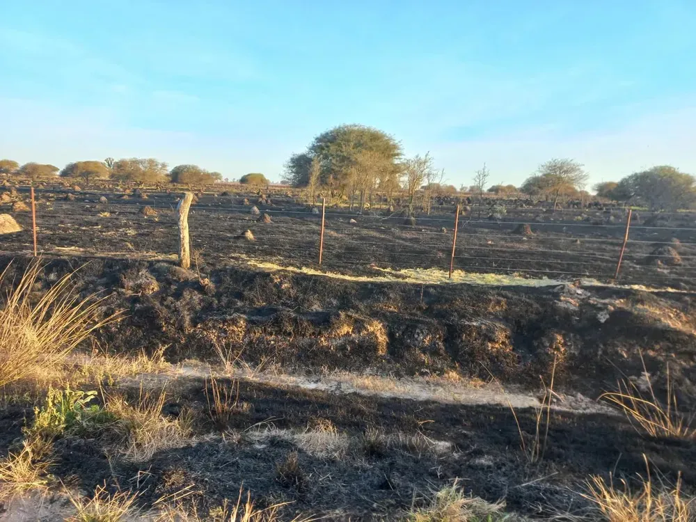 Incendio