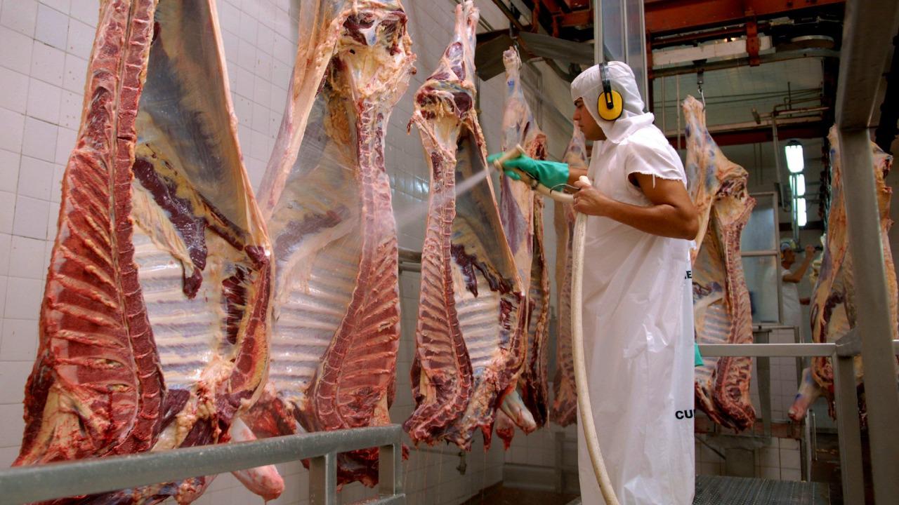 carne