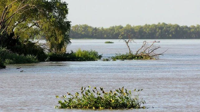 creciente-del-rio-paranajpg