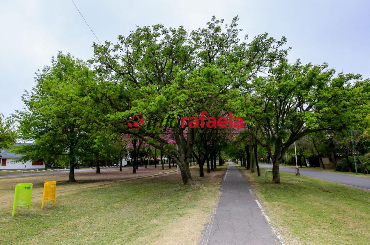 Especialistas y autoridades esperan que el contagio empiece a disminuir - Arbolado público - Rafaela - Ciclovía - Ciclocarriles -