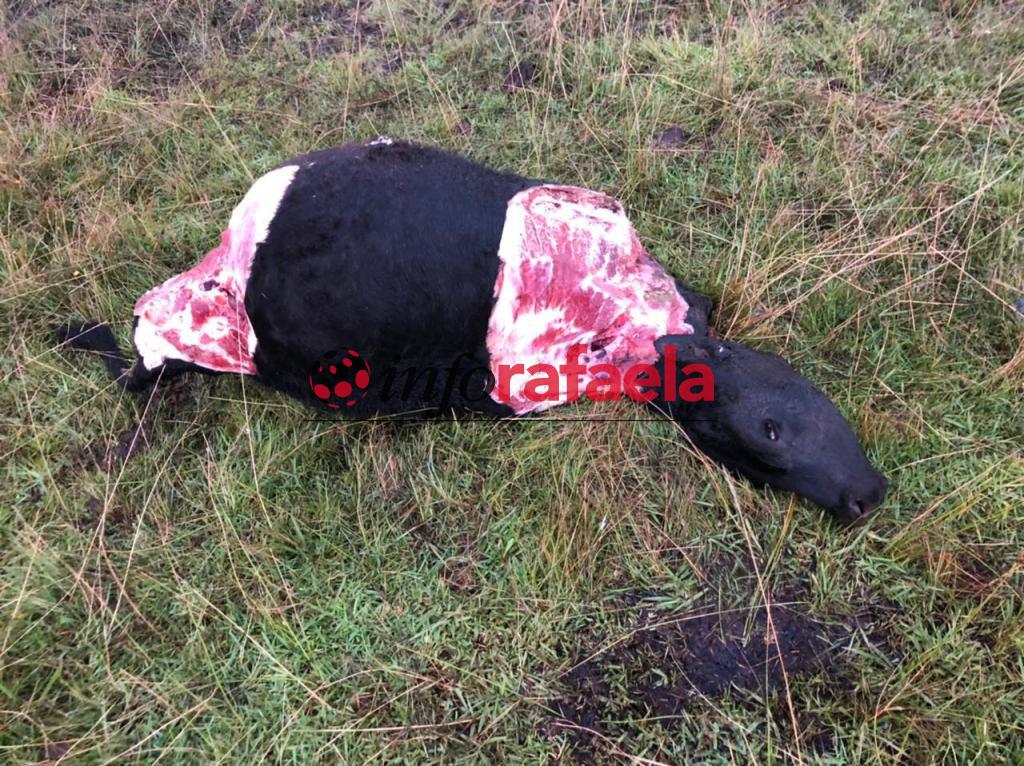 WhatsApp Image 2021-08-30 at 16.49.33