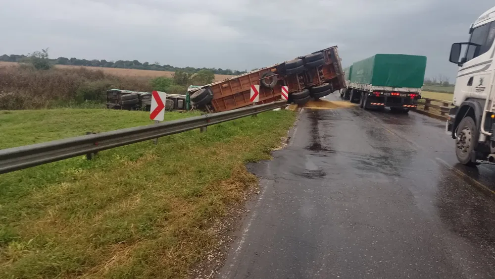 WhatsApp Image 2025-05-04 at 20.07.41