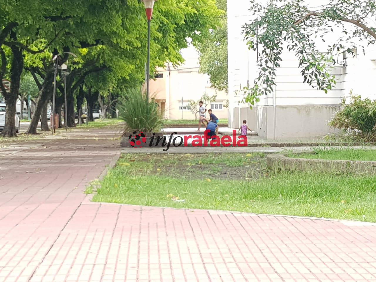 Tormenta en Rafaela - Arboles y ramas caídas en la ciudad -