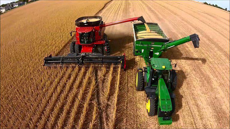 Campo - Productores agropecuarios - Cosecha -
