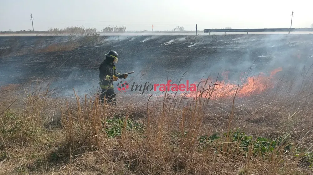 Imagen de WhatsApp 2024-09-11 a las 18.52.23_428ec814