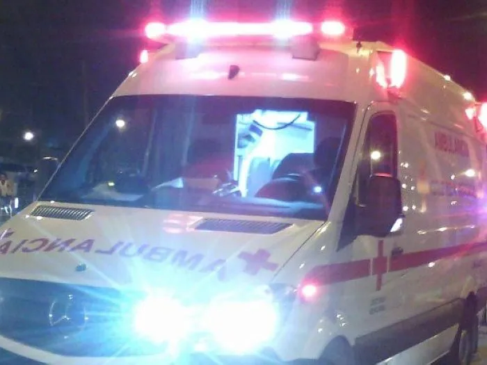 WhatsApp Image 2024-11-01 at 09.34.08 (1)