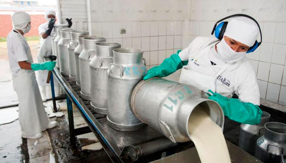 Por qué se celebra hoy el Día del Trabajador de la Industria Láctea