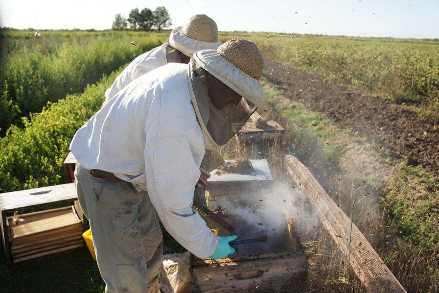 «Alimentos cooperativos»: el Gobierno destinará $ 1.000 millones para un ambicioso programa