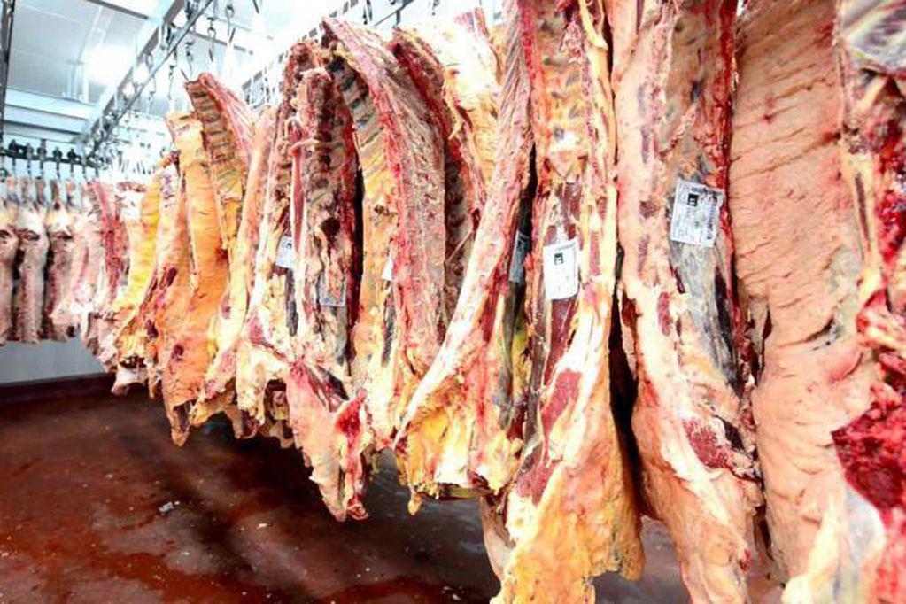 carne