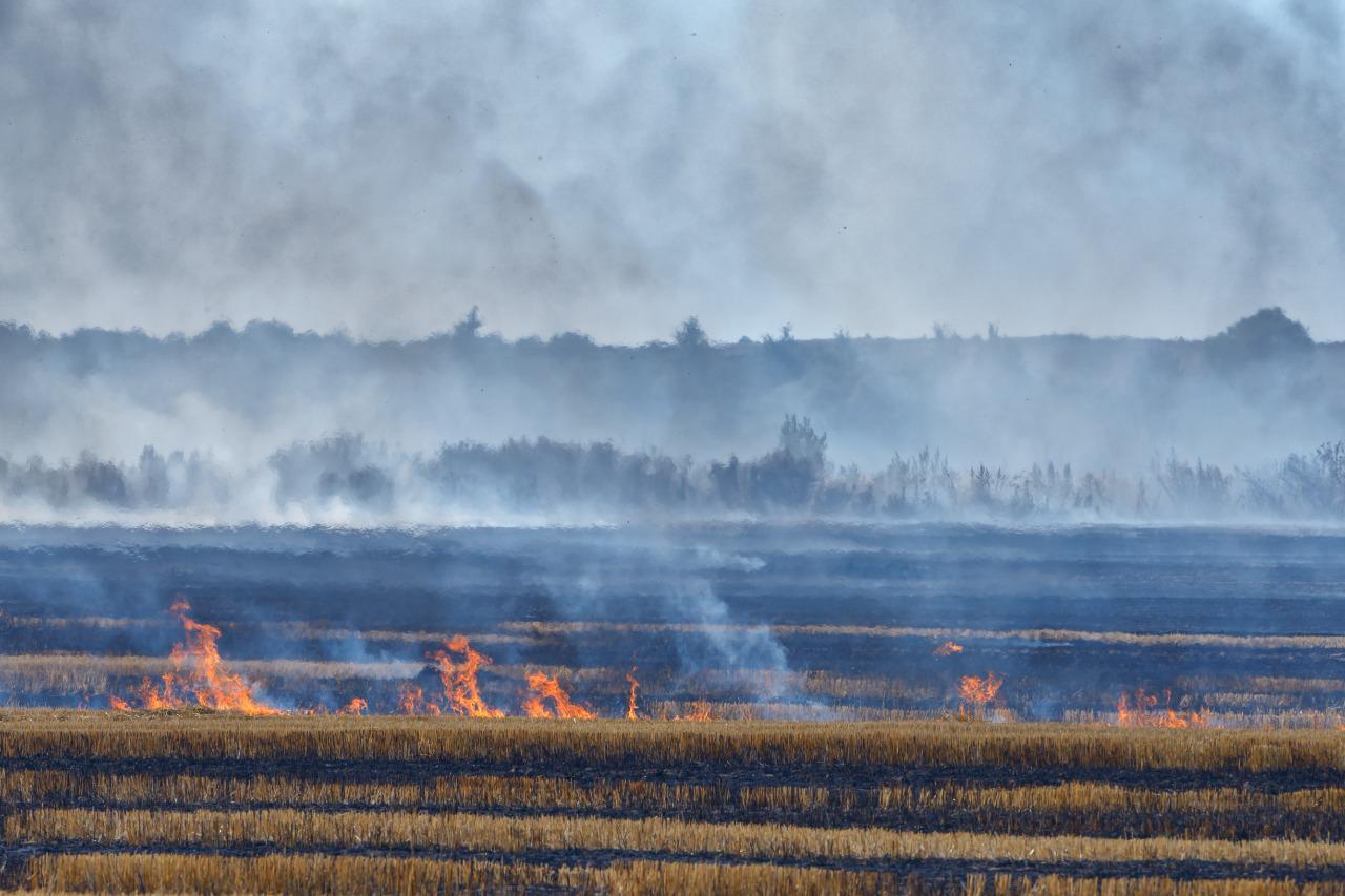 Incendios forestales