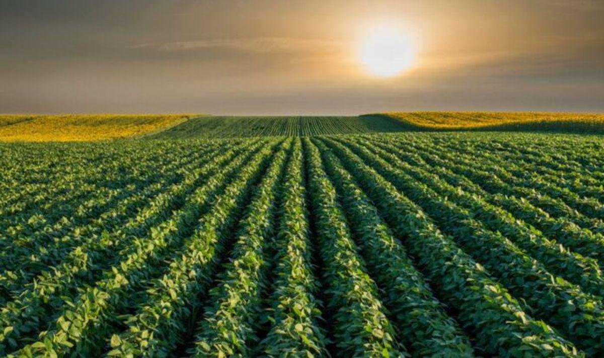 Militancia climática en el agro, el nuevo paradigma de los jóvenes
