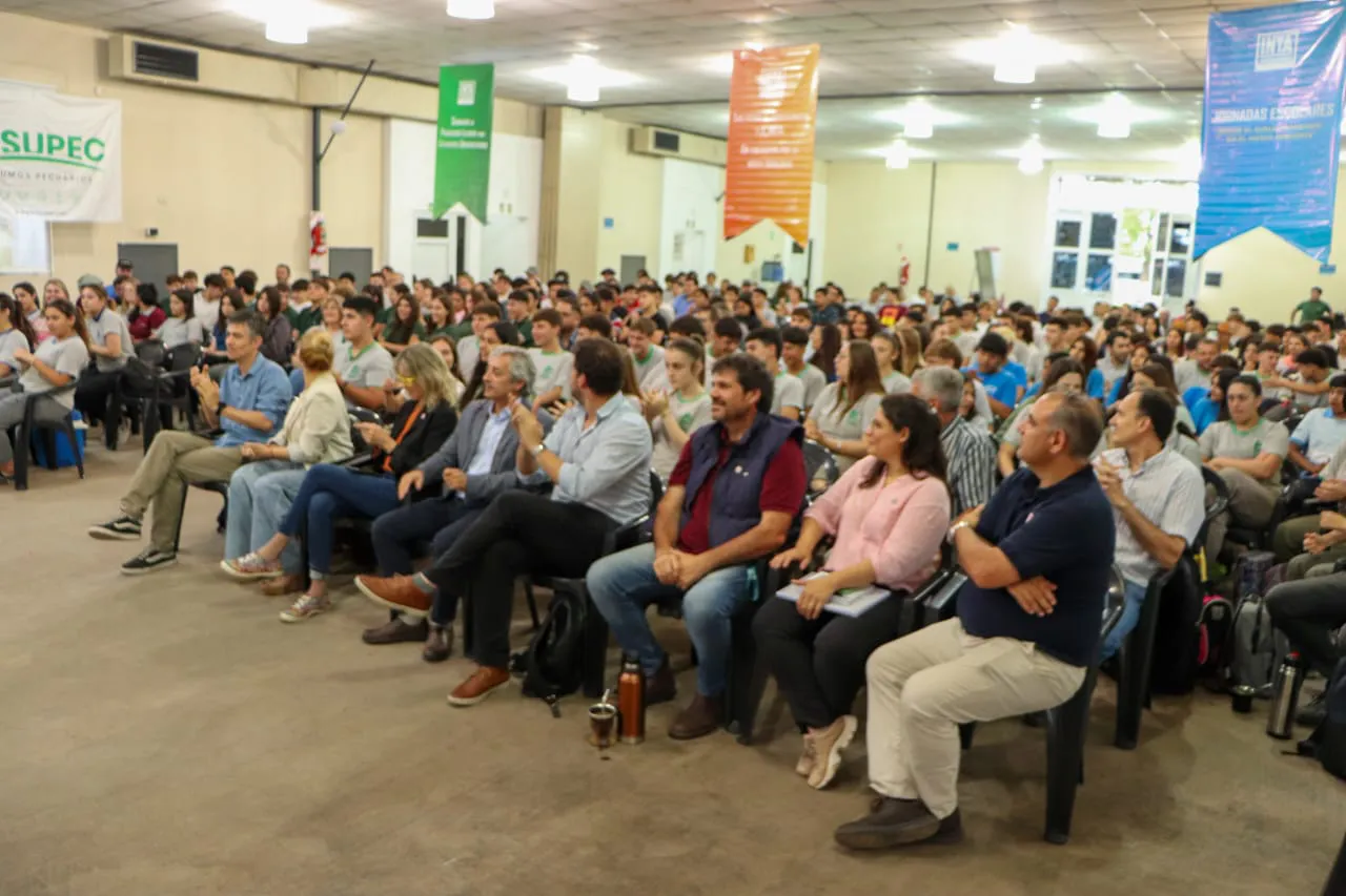 WhatsApp Image 2024-10-23 at 12.30.06