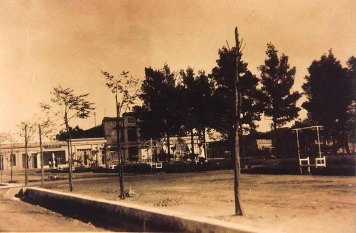 PAGINA 12 ARRIBA (1)