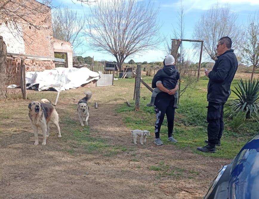 policia