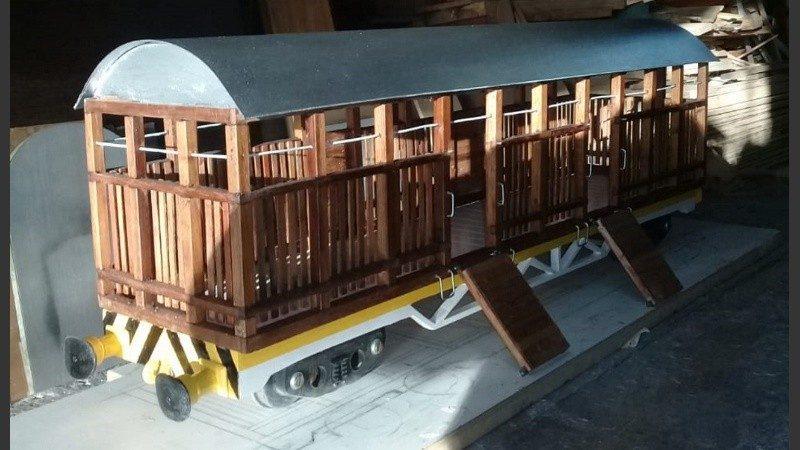 tren maría juana
