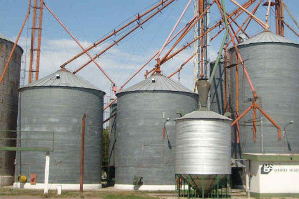 agro 1