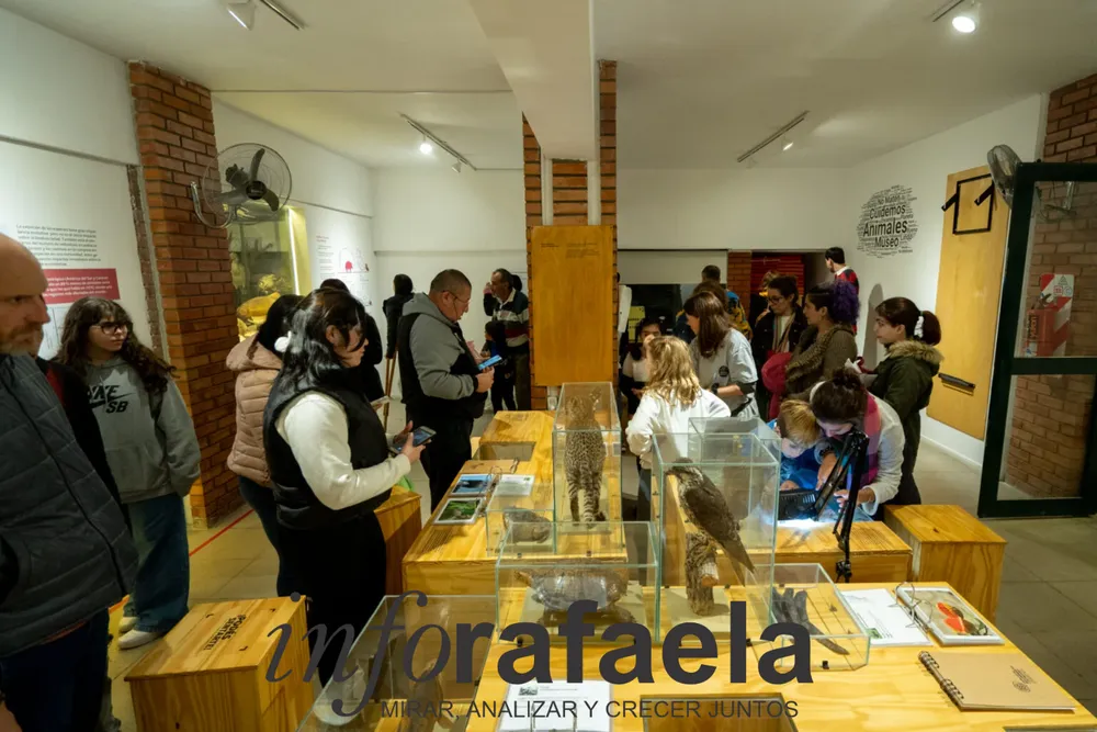 Museo-Ameghino-interior-3-1536x1024