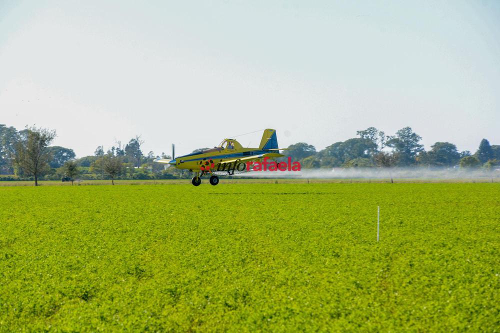 fitosanitarios - buenas practicas - actividad 2 demostrativa (1)